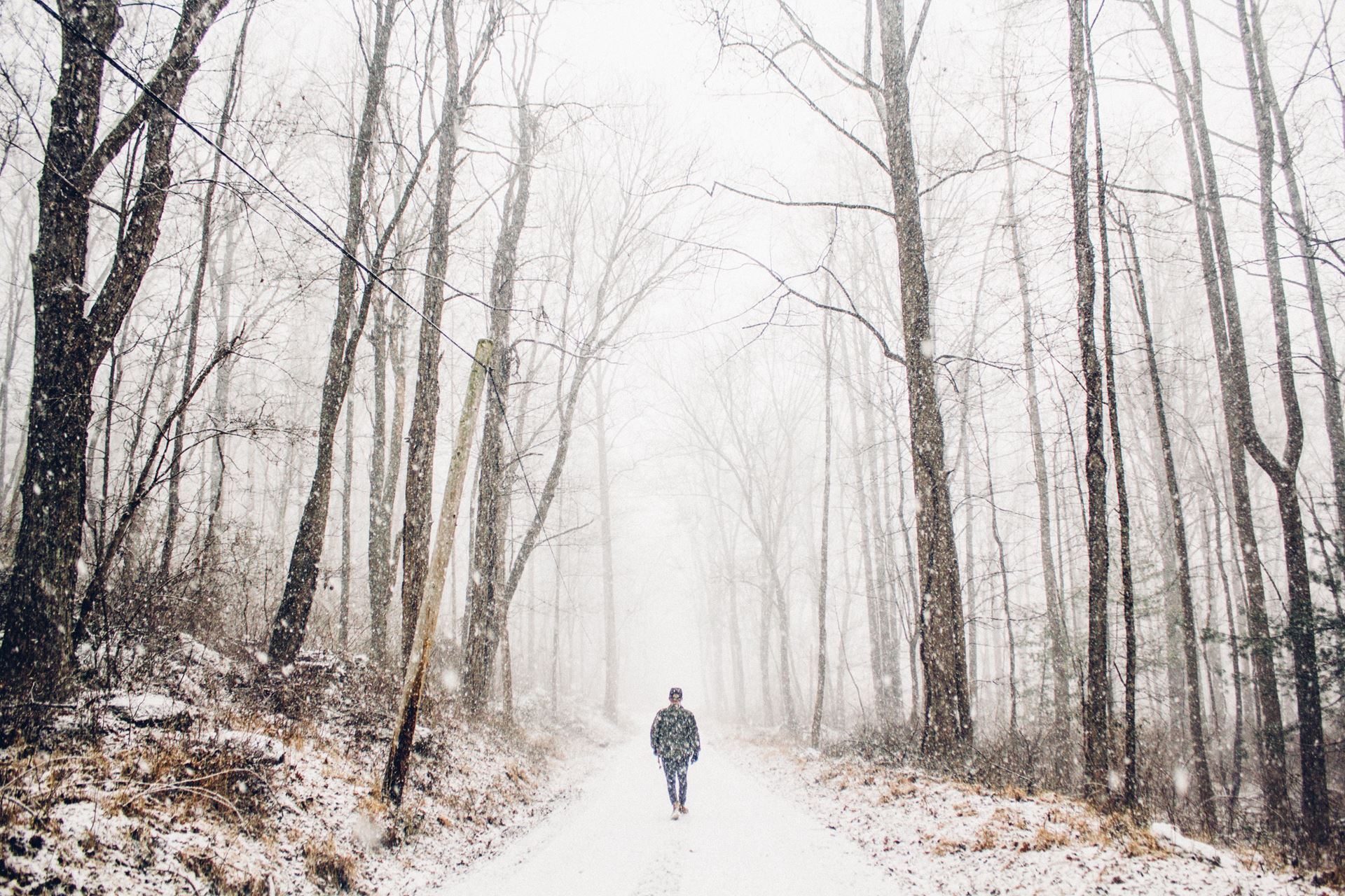 winter walk