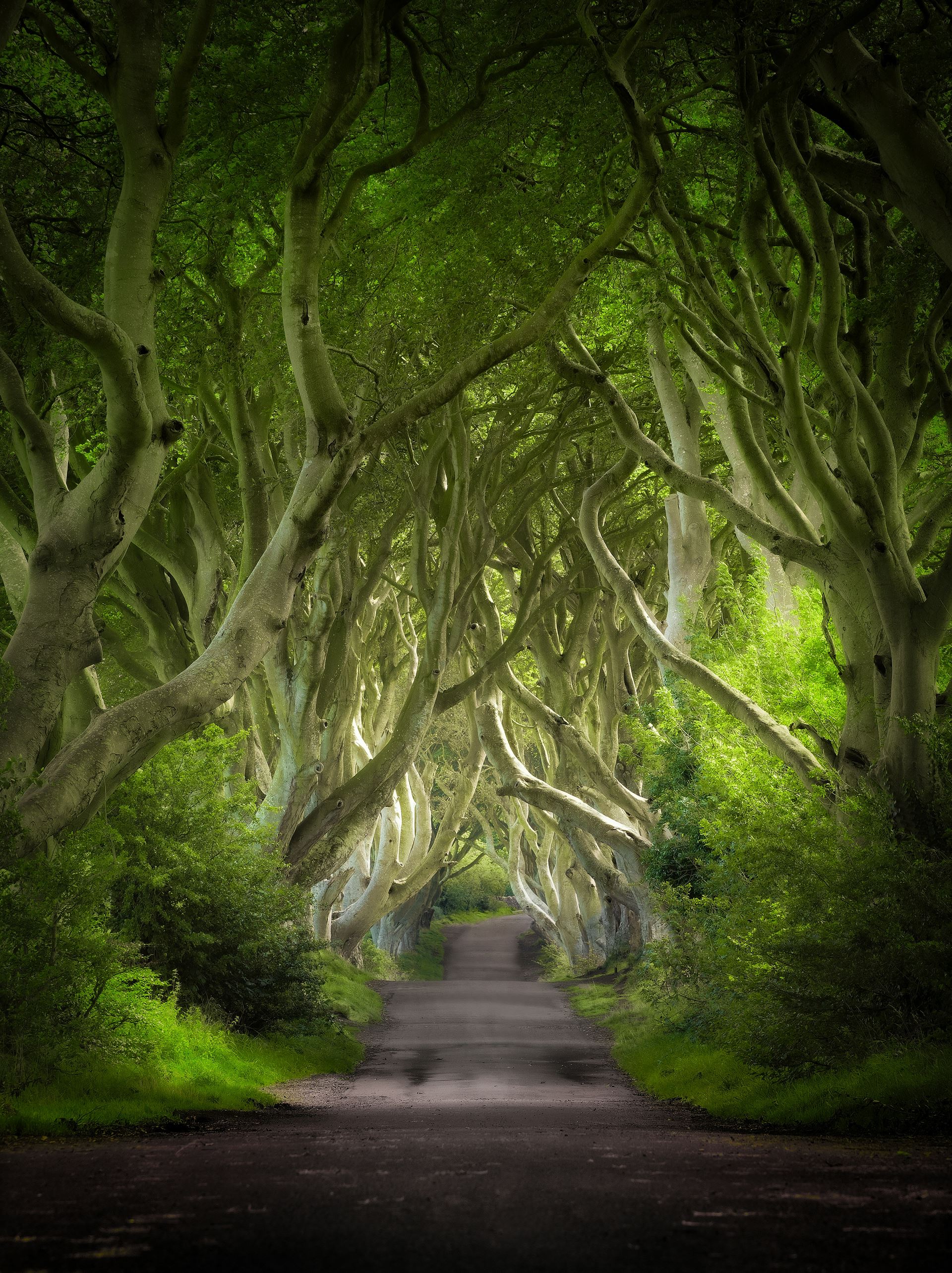 Northern Ireland